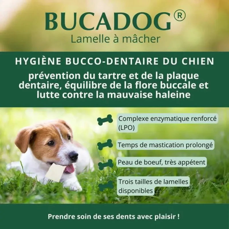 Lamelles Dentaires Bucadog Chien