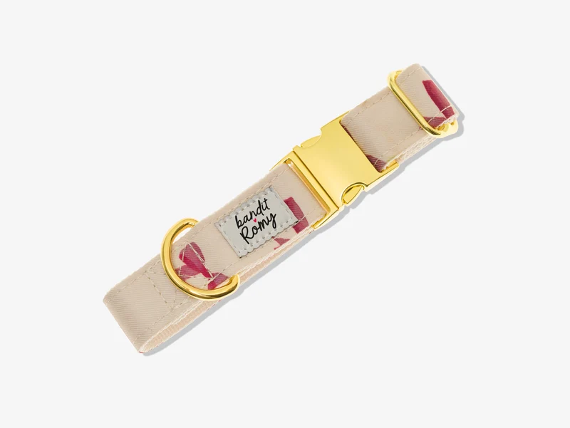 Collier chien Bandit x Romy