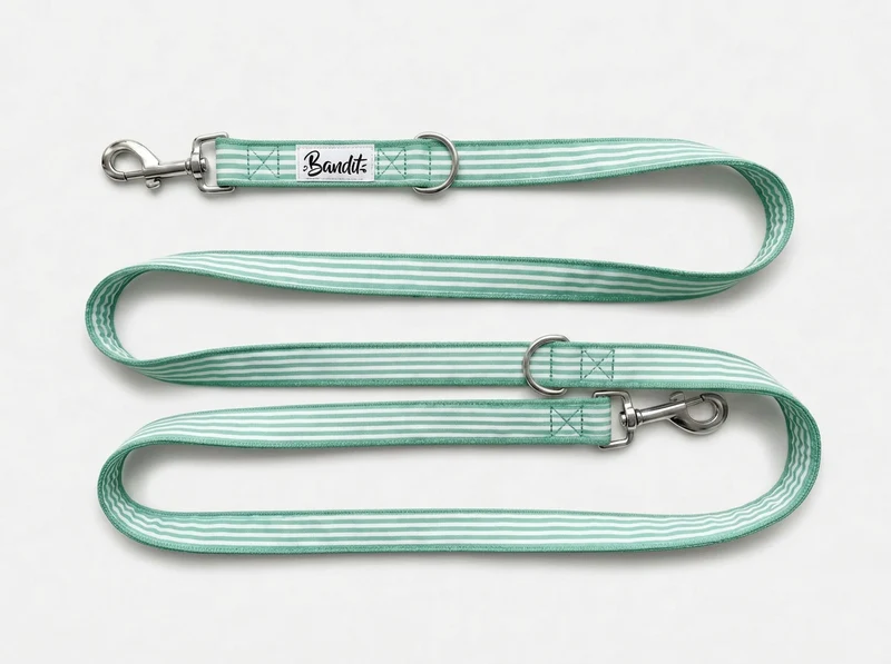Laisse pour chien rayé vert et blanc