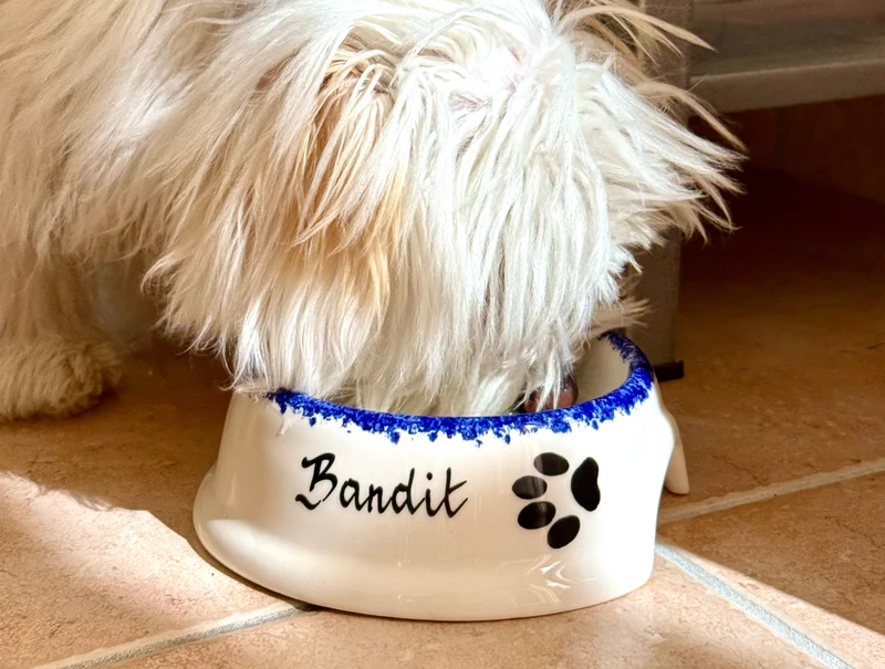 Gamelle bretonne pour chien personnalisable