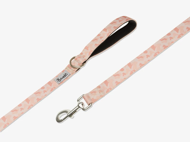Laisse pour chien camouflage sable
