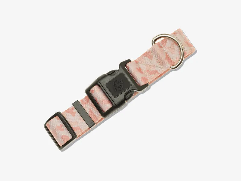 Collier chien camouflage sable