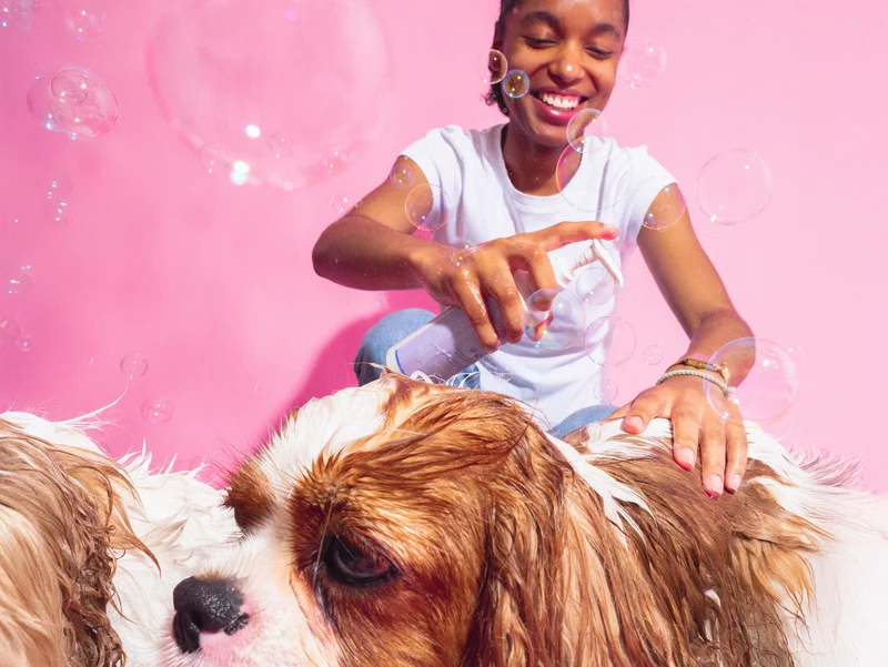 Shampoing pour animaux extraordinaires Bandit x Merci Handy