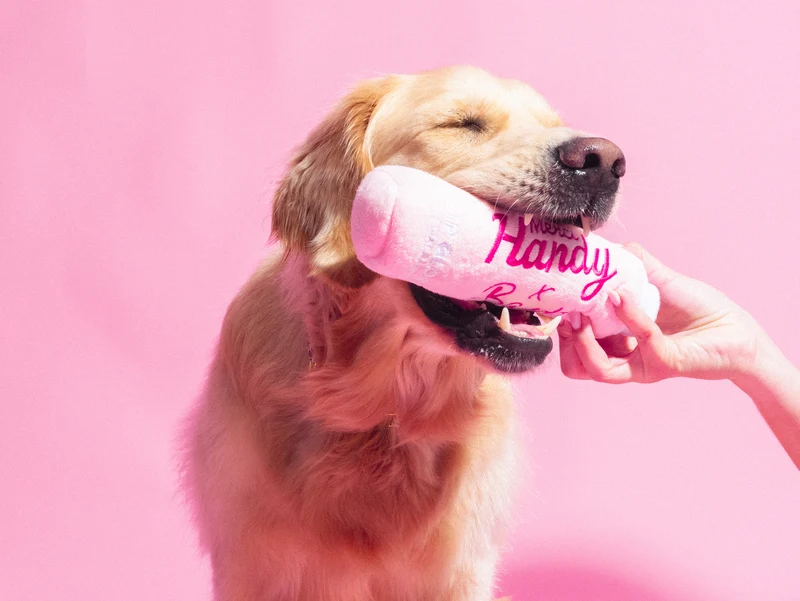 Jouet lip gloss Bandit x Merci Handy