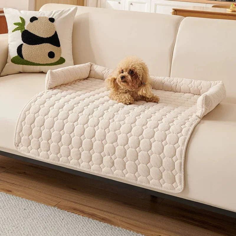 Protège canapé pour chien