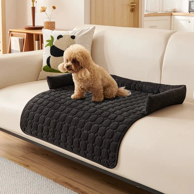 Protège canapé pour chien