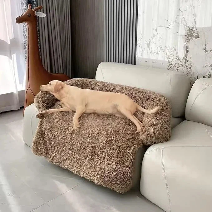 Coussin de canapé pour chien