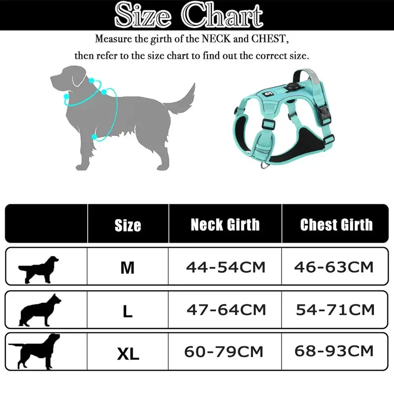 Harnais chien malinois