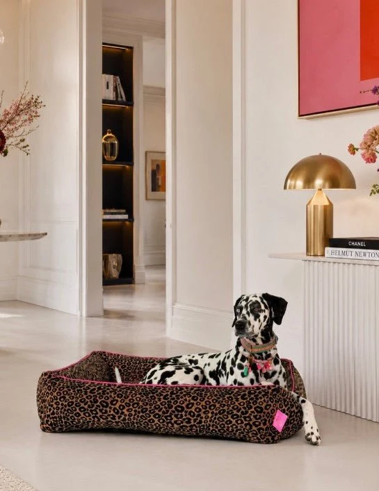 Panier pour chien Lazy Leopard DWAM 🐆