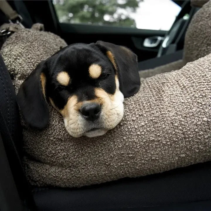 Siège auto 2-en-1 pour chien Tova Staey 🚗