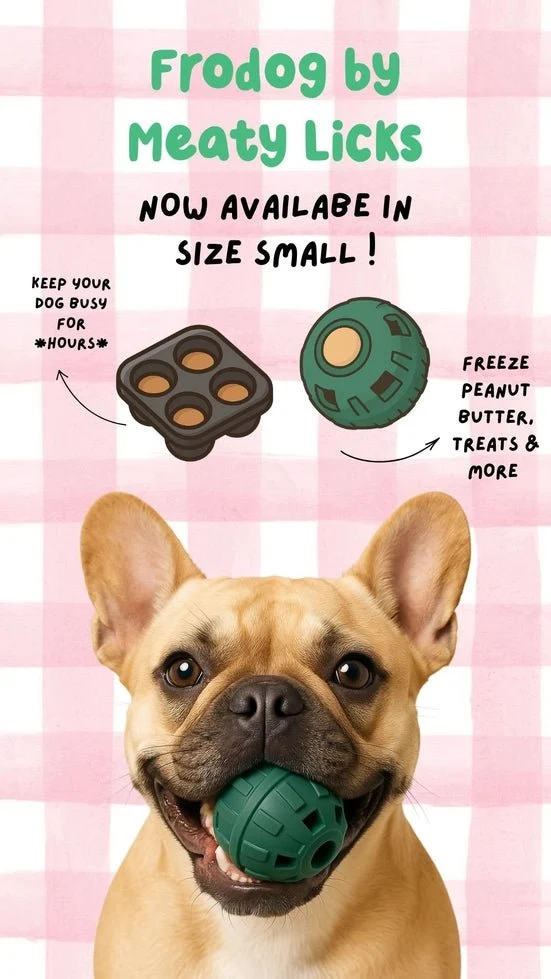 Jouet d'occupation pour chien FRODOG Meaty Licks 🧸