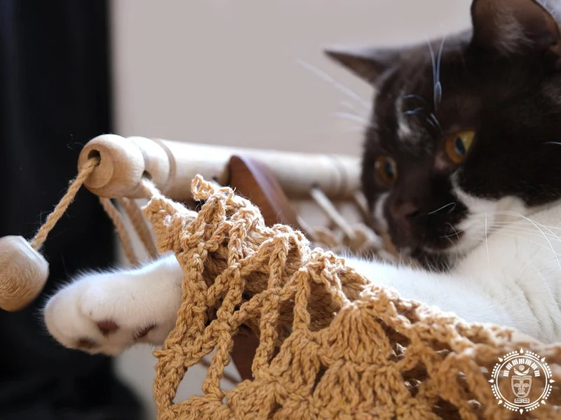 Hamac pour chat taupe - Origine Nicaragua