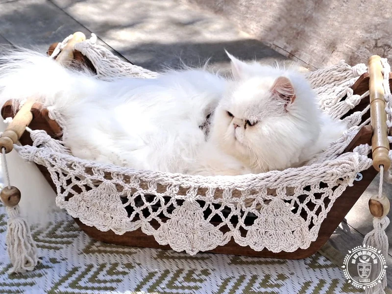 Hamac pour chat - Origine Nicaragua