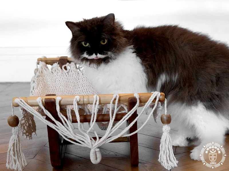 Hamac pour chat - Origine Nicaragua