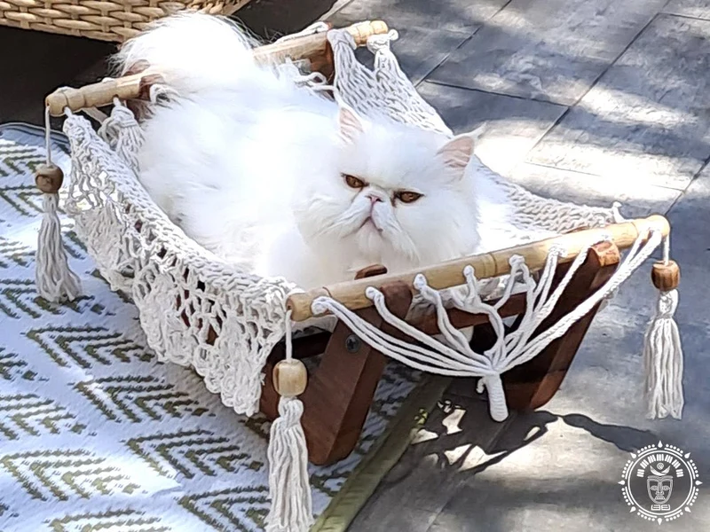 Hamac pour chat - Origine Nicaragua
