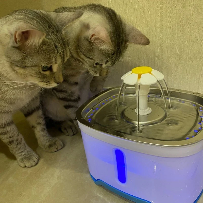 Fontaine à eau automatique pour chat - Eau pure et fraîche en continu