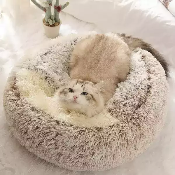 Nid Semi-Fermé pour Chat - Coussin Lit en Peluche Doux et Apaisant