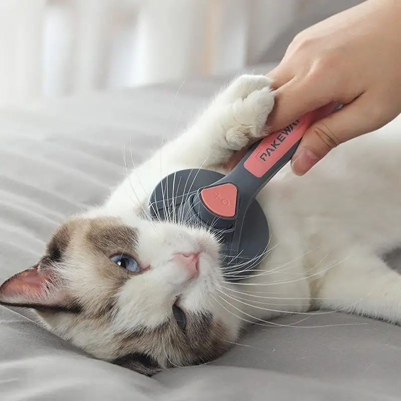 Peigne de toilettage pour Chat - Caressez et soulagez votre chat des poils
