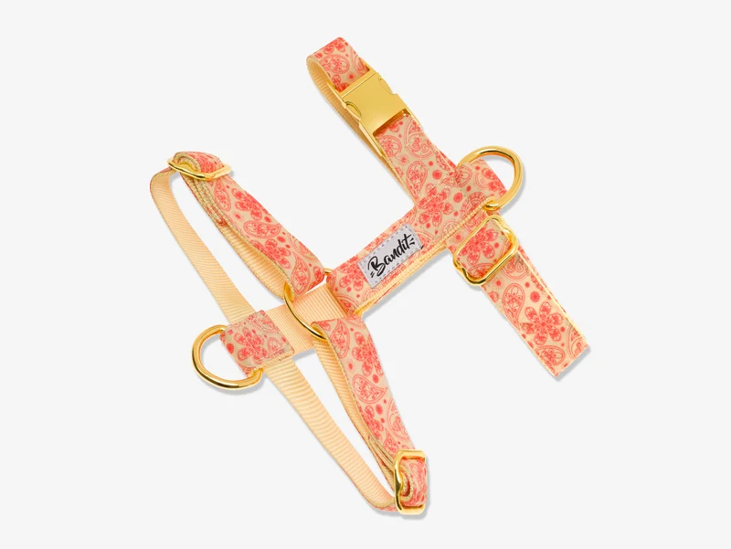 Harnais chat paisley jaune