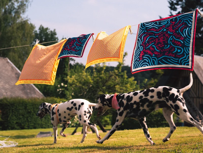 Foulard Happy Snobbish