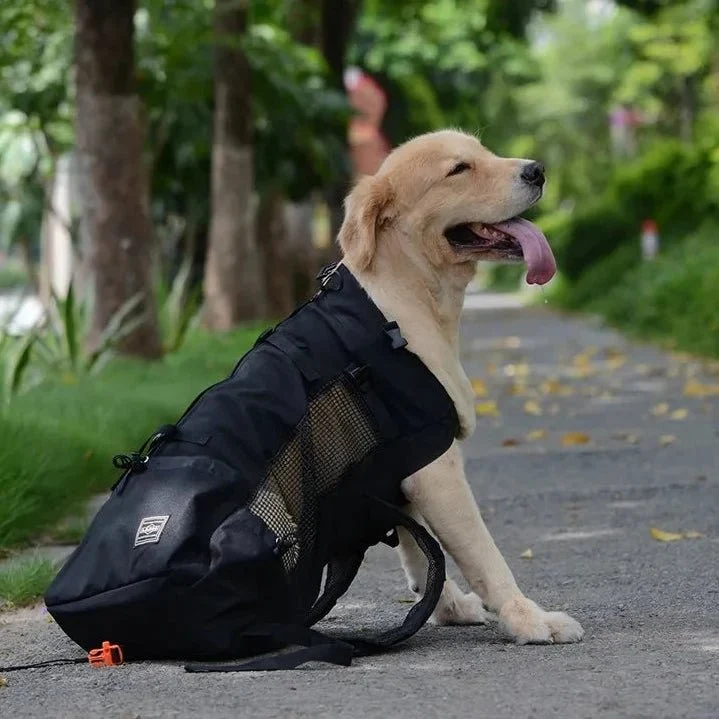 Sac a dos pour chien 15 kg