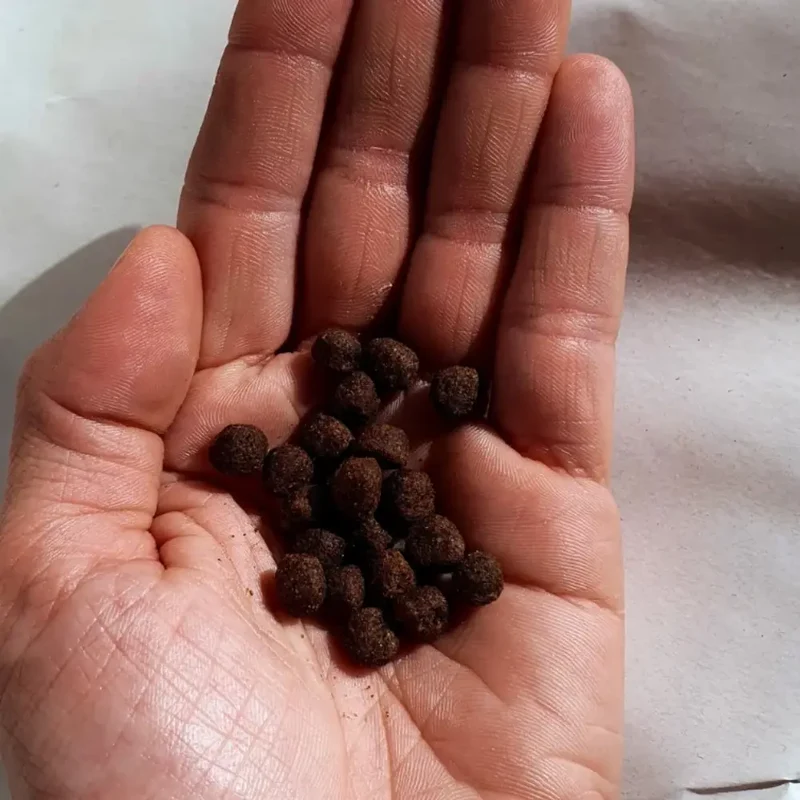 Anti-gaspi Croquettes Hypoallergénique Fungfeed Chat