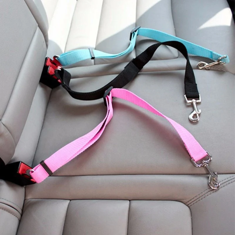 Laisse de voiture pour chat