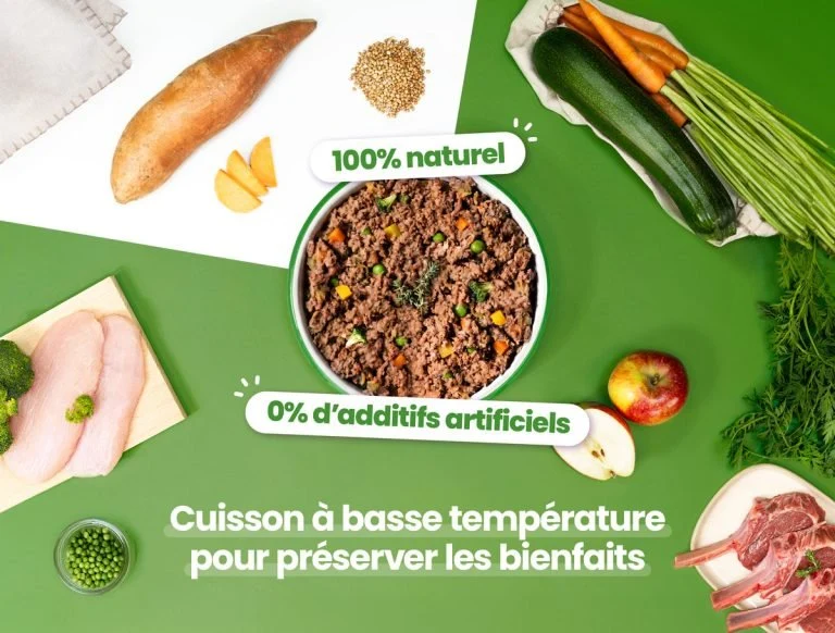 Repas frais pour chien à l'agneau et dinde DOG CHEF 🍖