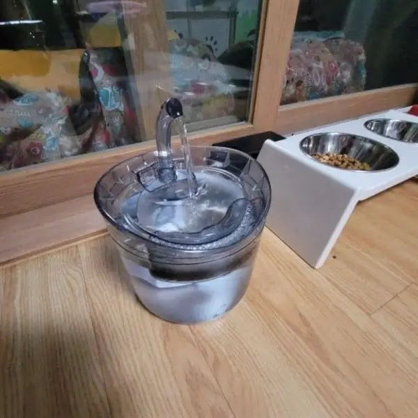 Fontaine à eau intelligente pour chat avec détecteur de mouvement