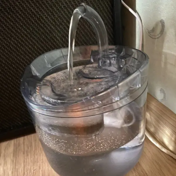 Fontaine à eau intelligente pour chat avec détecteur de mouvement