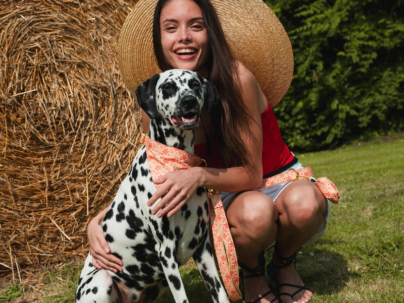 Laisse pour chien paisley jaune