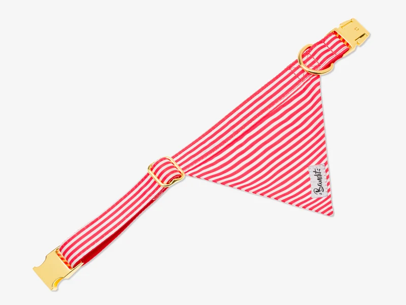 Bandana pour chien rayé rouge et blanc