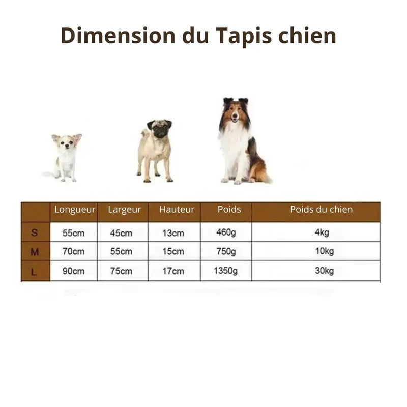 Grand tapis avec coussin pour chien
