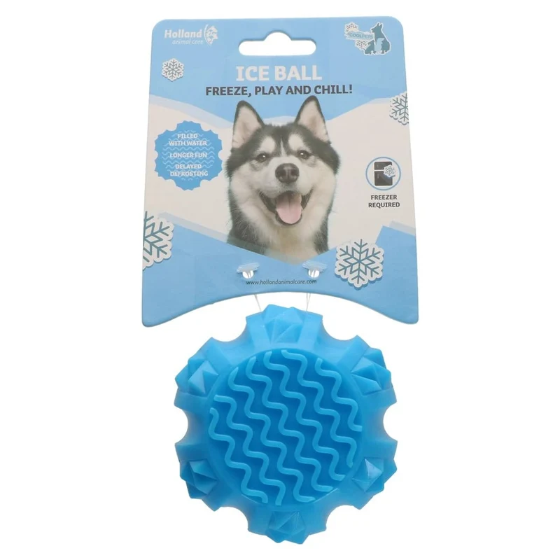 Jouet rafraîchissant pour chien ❄️ Boule de Glace ou Anneau Coolpets