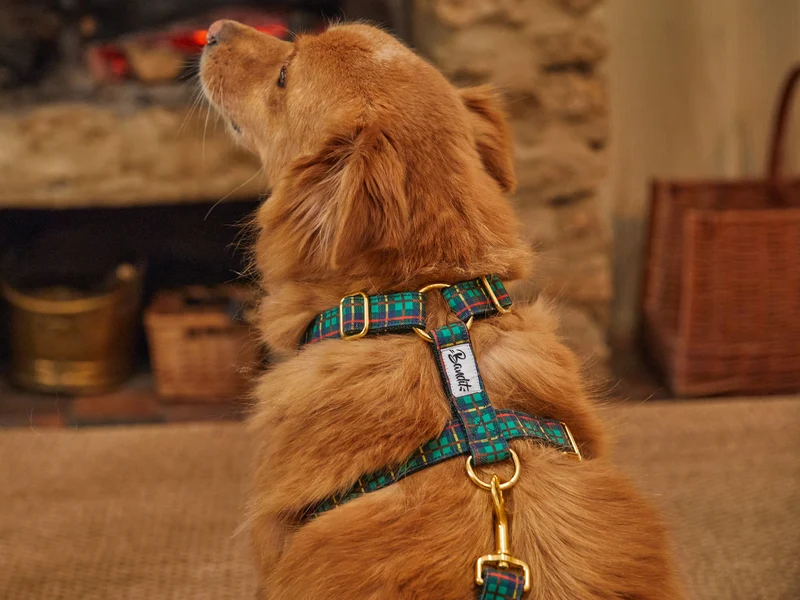 TARTAN VERT