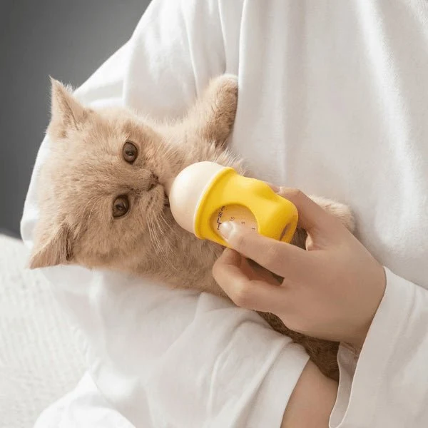 Chatons biberon - Valve anti étouffement & gradué - TinyFeed Pro™