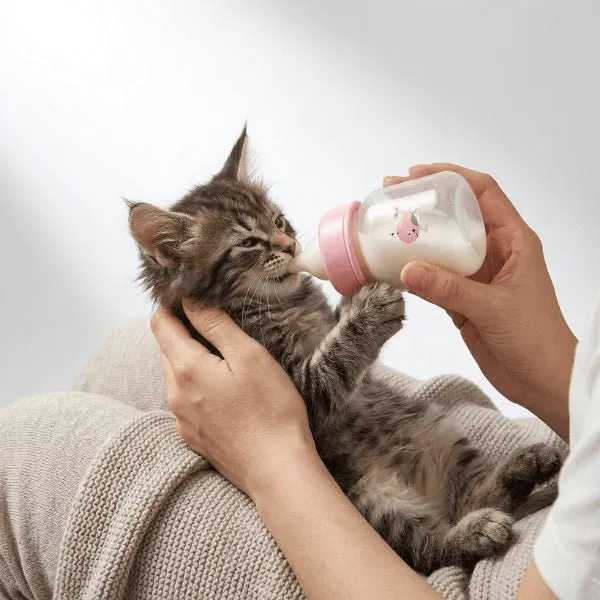 Biberon pour chaton - 60 & 125 ml à débit contrôlé - DinoMilk™