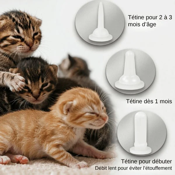 Biberon pour chaton - Gradué à tétines modulables - KittyFlow™