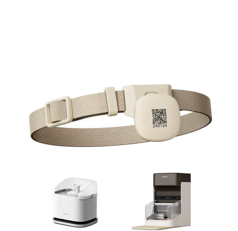 Collier avec médaillon RFID