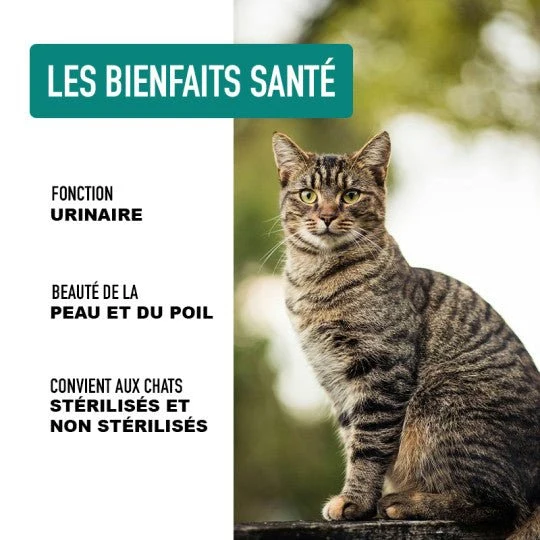 Croquettes chat sans céréales Poids idéal Atavik Dinde, Poulet & Hareng