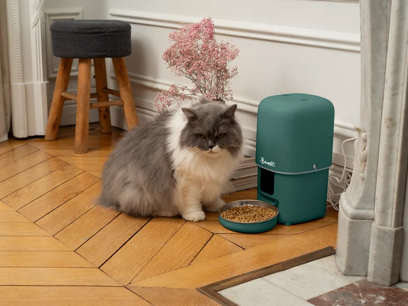 Distributeur de croquettes intelligent