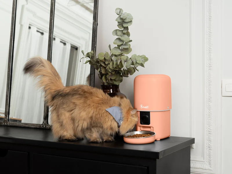 Distributeur de croquettes intelligent