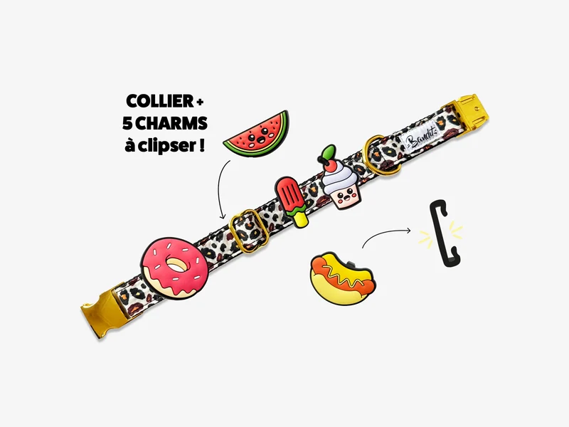 Kit Collier + pack de 5 charms