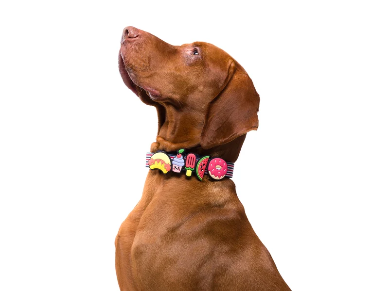 Pack de 5 bijoux en silicone pour collier, bandana, laisse, harnais