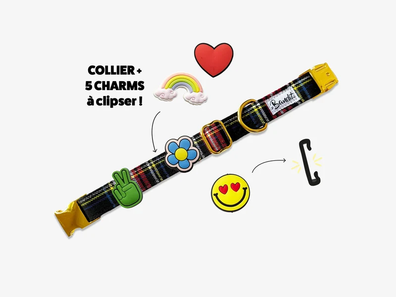 Kit Collier + pack de 5 charms