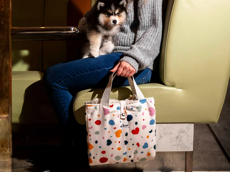 Tapis de voyage pour chien