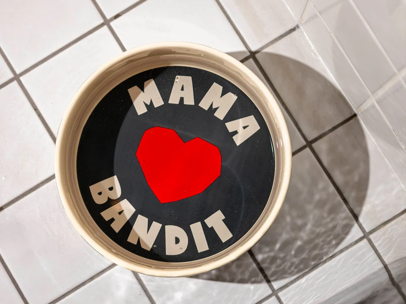 Gamelle pour chien MAMA ♥ BANDIT