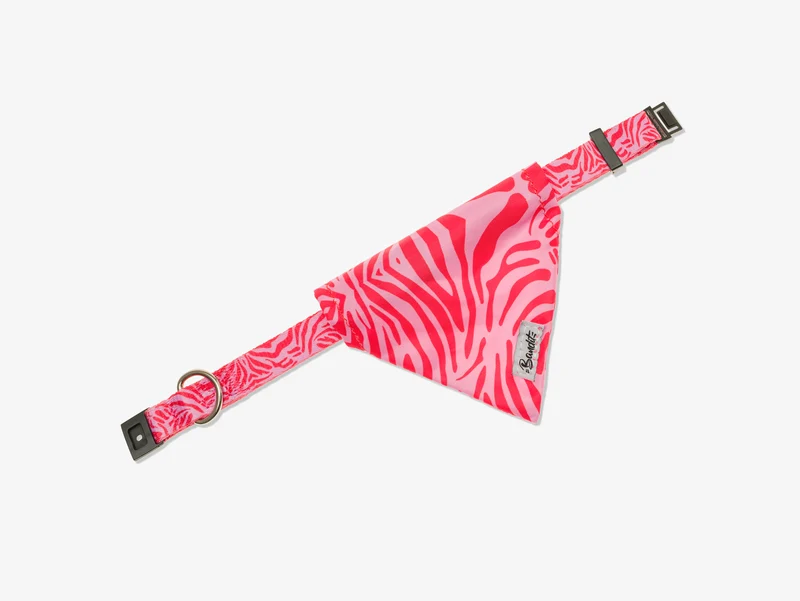 Bandana chat zebre rose