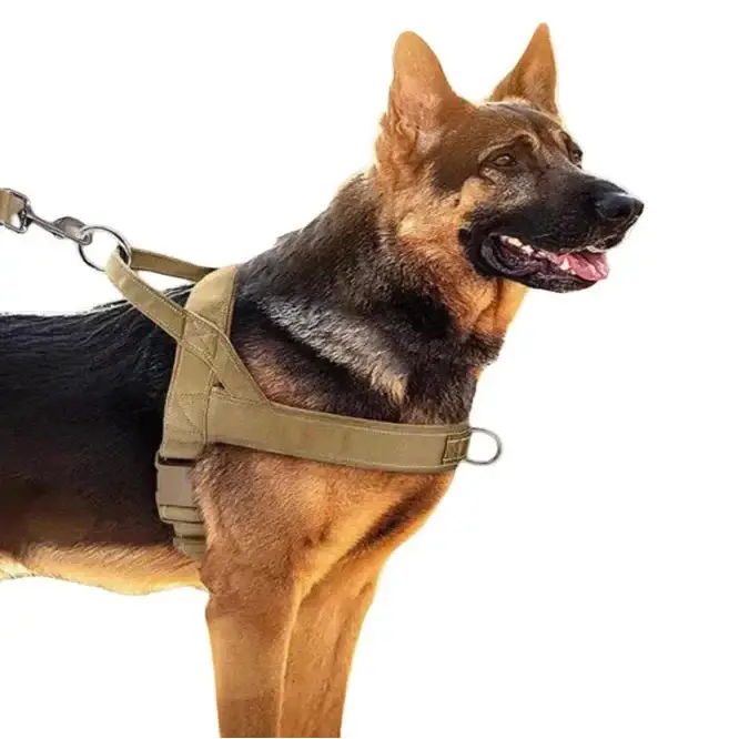 Harnais anti traction agissant sur poitrail du chien
