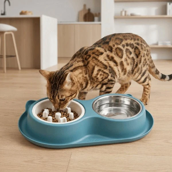 Gamelles anti glouton chat - Double repas lent complet - DuoSlow™